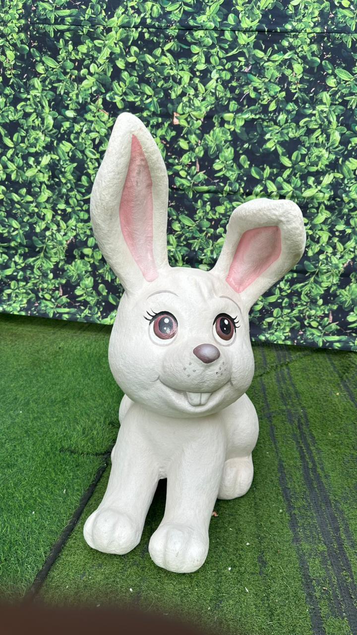 WhatsApp Image 2026-02-11 at 15.13.41