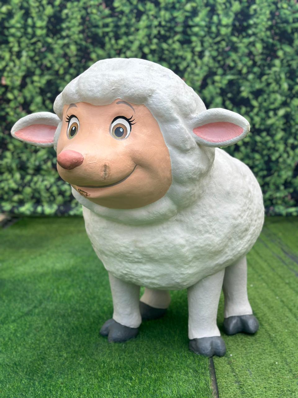 WhatsApp Image 2026-02-11 at 15.13.45 (1)