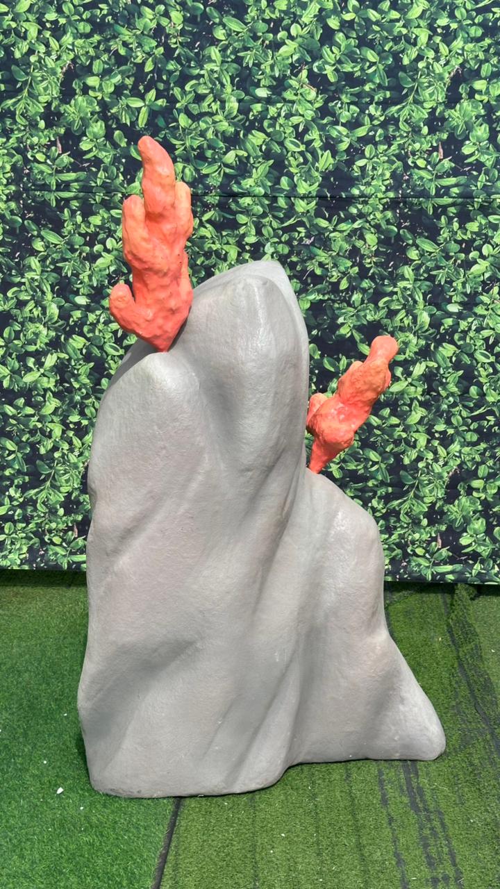 WhatsApp Image 2026-02-11 at 15.13.49 (2)