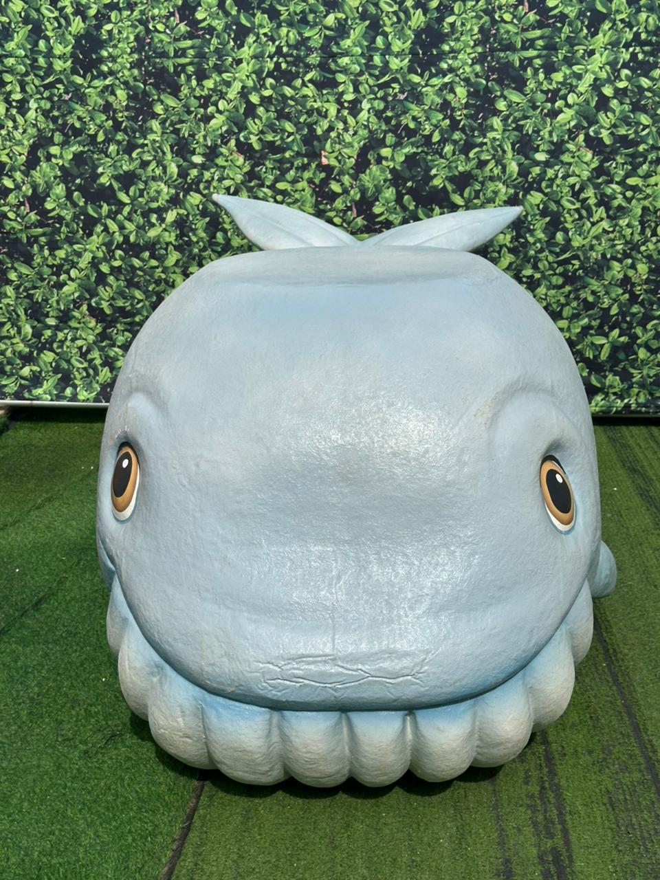 WhatsApp Image 2026-02-11 at 15.13.50 (1)