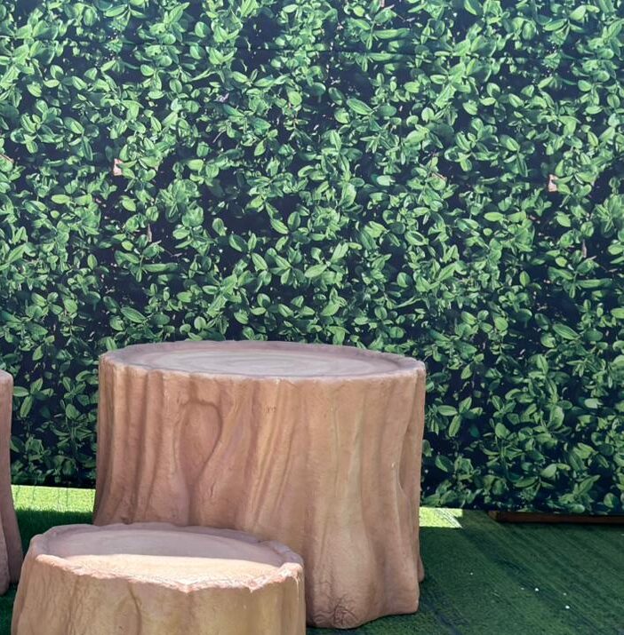 WhatsApp Image 2026-02-11 at 15.13.55 (3)