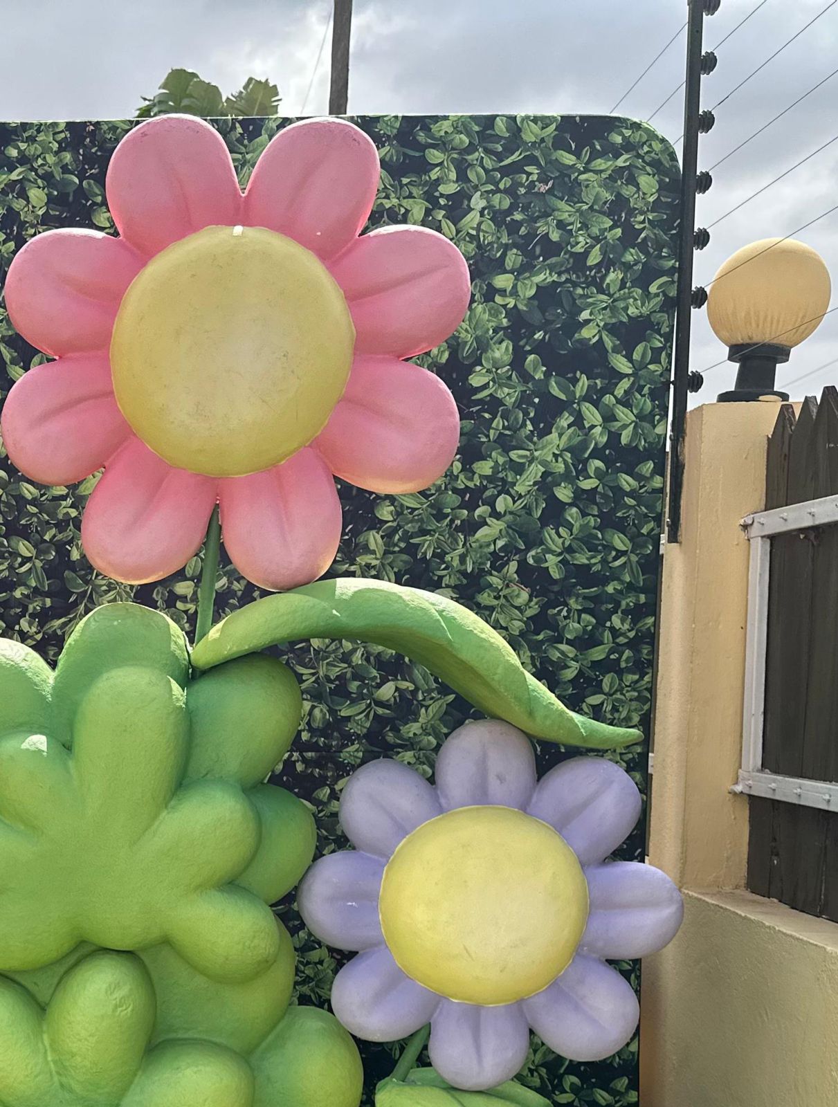 WhatsApp Image 2026-02-21 at 07.33.50