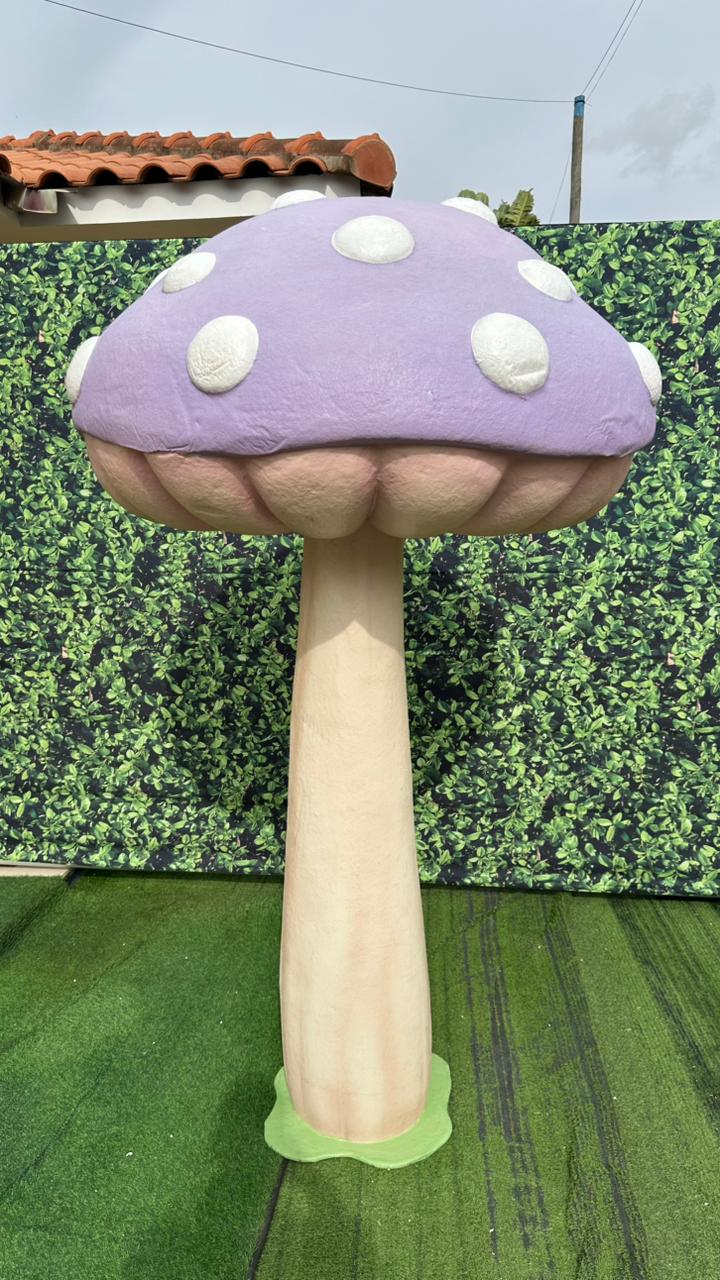 WhatsApp Image 2026-03-03 at 11.09.35