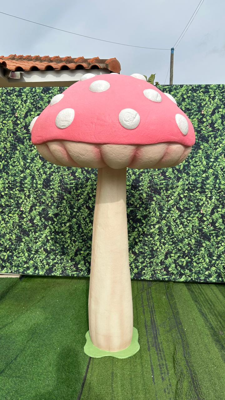 WhatsApp Image 2026-03-03 at 11.09.36