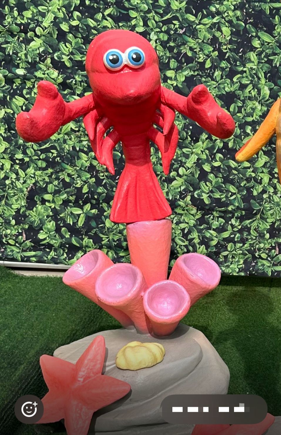 WhatsApp Image 2026-03-05 at 14.29.23